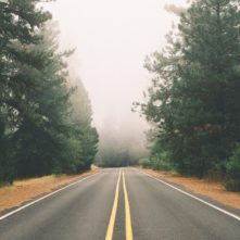 FOREST ROAD