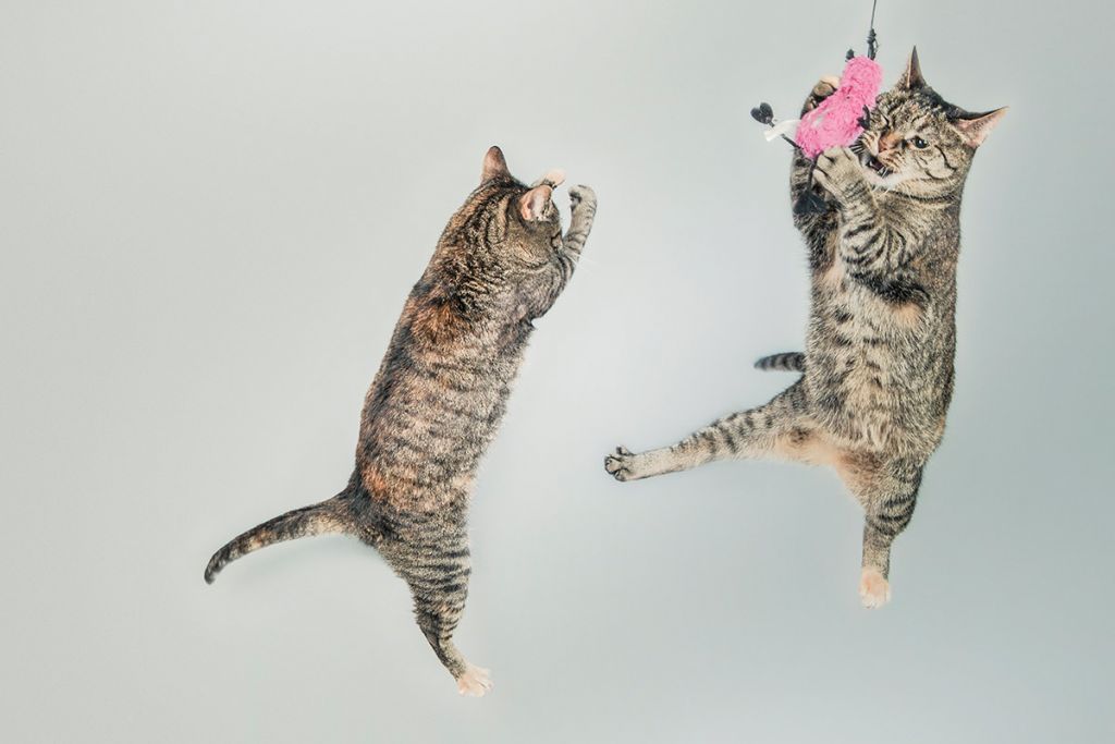 PLAY TIME